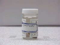 藏品(白星笛鯛)的圖片